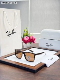 Rayban Brown
